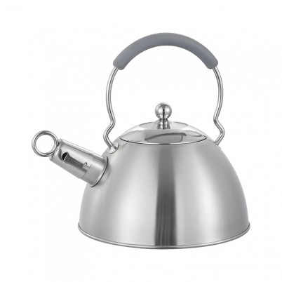 ZH-K020 Stainless Steel Kettle