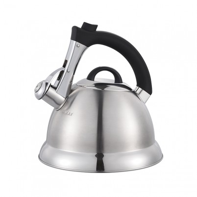 ZH-K011 Stainless Steel Kettle