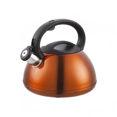 ZH-K054 Stainless Steel Kettle