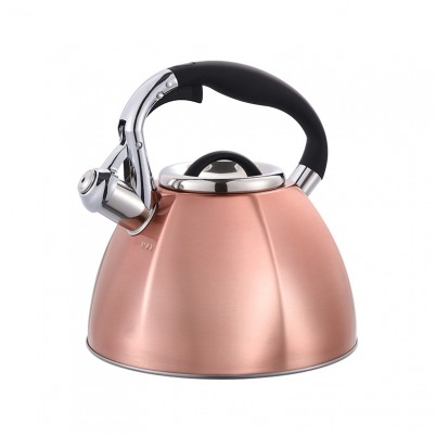 ZH-K008 Stainless Steel Kettle