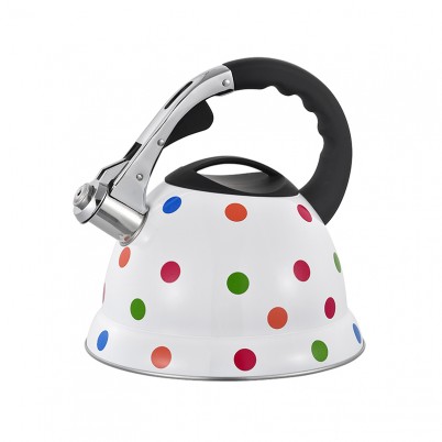 ZH-K012 Stainless Steel Kettle