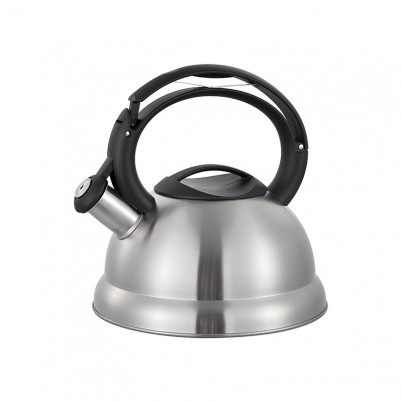 ZH-K046 Stainless Steel Kettle