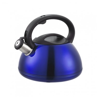 ZH-K056 Stainless Steel Kettle