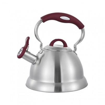 ZH-K029 Stainless Steel Kettle