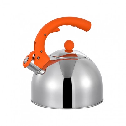 ZH-K039 Stainless Steel Kettle