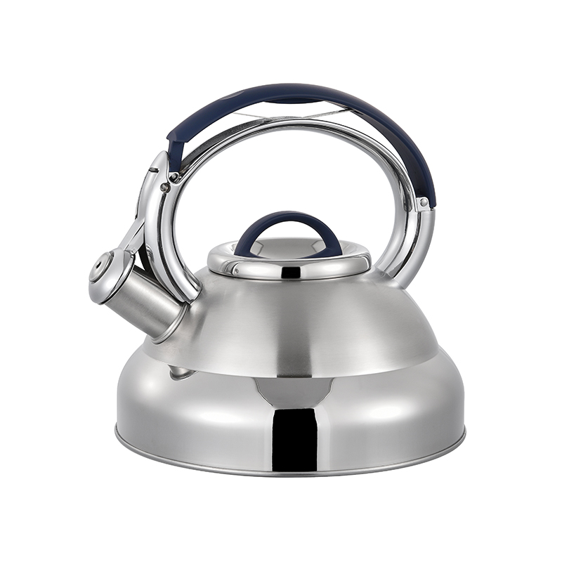 ZH-K009 Stainless Steel Kettle